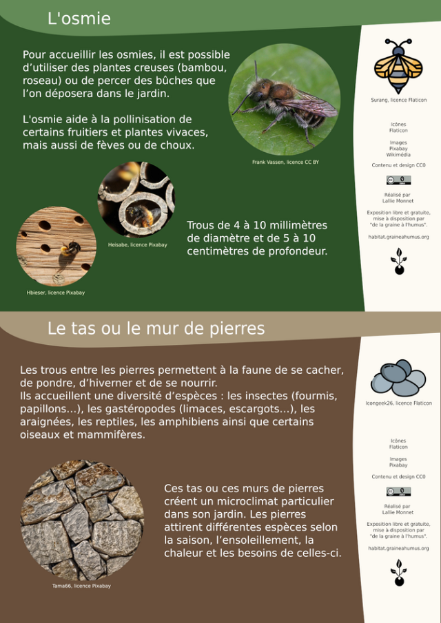 Les osmies et les tas de pierre