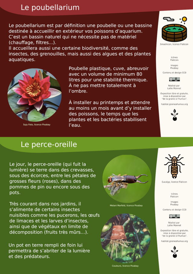 Les perces oreille et le poubellarium