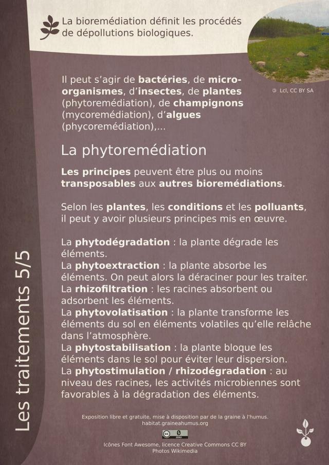 Exposition sur la dépollution 6